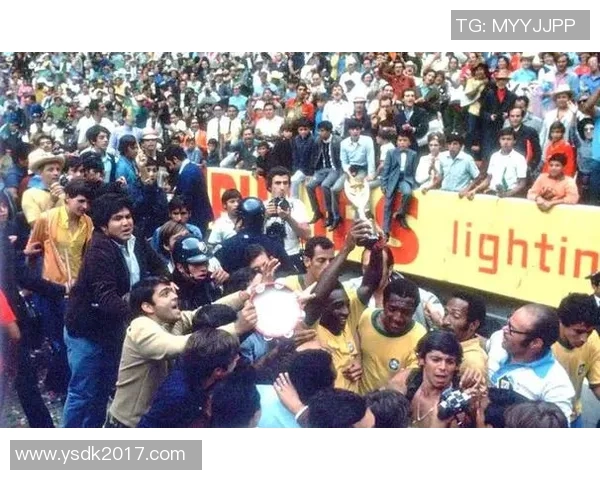 瑞典世界杯足球明星的辉煌历程与传奇故事探秘