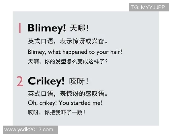 体育俱乐部的英语表达及其在国际交流中的重要性探讨