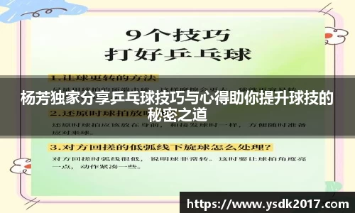 杨芳独家分享乒乓球技巧与心得助你提升球技的秘密之道