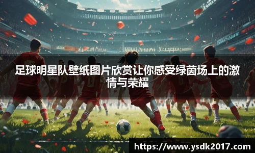 足球明星队壁纸图片欣赏让你感受绿茵场上的激情与荣耀