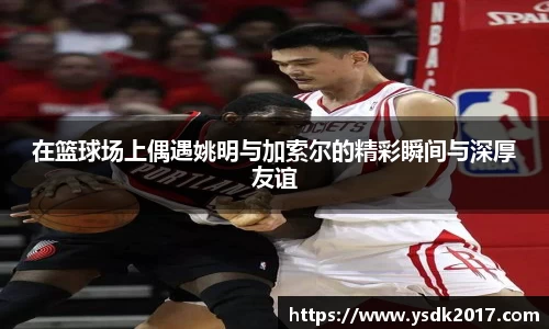 在篮球场上偶遇姚明与加索尔的精彩瞬间与深厚友谊