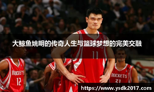 大鲸鱼姚明的传奇人生与篮球梦想的完美交融
