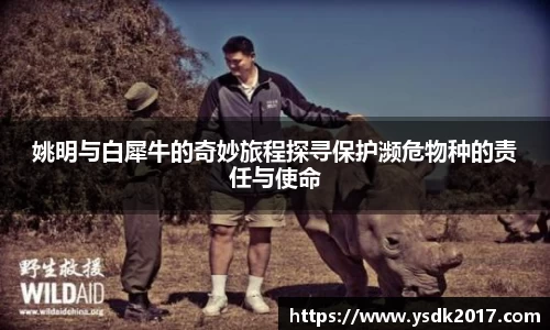AC米兰体育