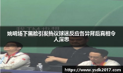 AC米兰体育